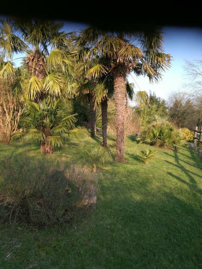 Le Coing Villa La Guiltiere Dış mekan fotoğraf